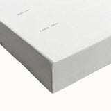 Modern Wall Art: Vibrant Rainbow Cactus Illustration with Pink Blooms