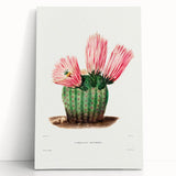 Modern Wall Art: Vibrant Rainbow Cactus Illustration with Pink Blooms