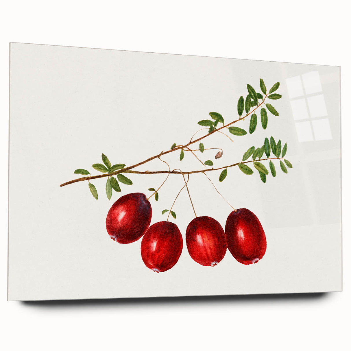 Large abstract wall art of assorted fruits in vibrant colors on acrylic glass, ideal for bedroom or dining room decor.