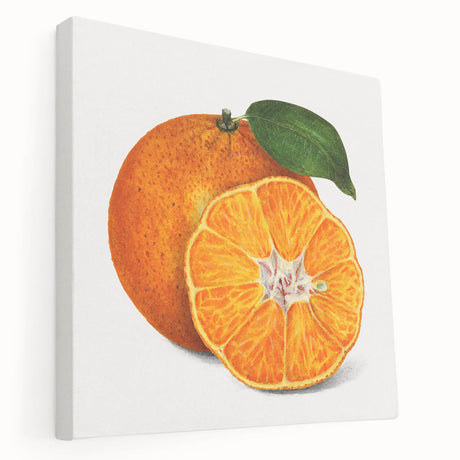 A large canvas print featuring an array of vibrant, colorful fruits, ideal for kitchen wall art.