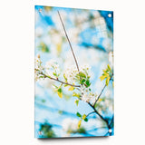 Large abstract wall art depicting spring season in pastel shades, acrylic print, suitable for bedroom or dining room decor.