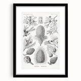 Modern Conifer Botanical Wall Art - Abstract Modern Art Prints