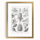 Modern Conifer Botanical Wall Art - Abstract Modern Art Prints