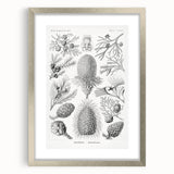 Modern Conifer Botanical Wall Art - Abstract Modern Art Prints