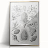 Modern Conifer Botanical Wall Art - Abstract Modern Art Prints