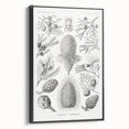 Modern Conifer Botanical Wall Art - Abstract Modern Art Prints