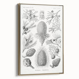 Modern Conifer Botanical Wall Art - Abstract Modern Art Prints