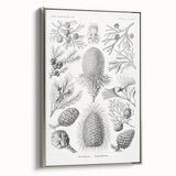 Modern Conifer Botanical Wall Art - Abstract Modern Art Prints