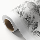 Modern Conifer Botanical Wall Art - Abstract Modern Art Prints