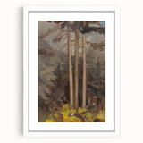 Modern Spruce Forest Wall Art - Abstract Contemporary Art Prints