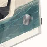 Romanticism Art - Dusky Petrel by John James Audubon Print