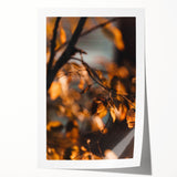 Extra large rolled print of autumnal floral art in warm orange and red tones, ideal for dining room wall decor.
