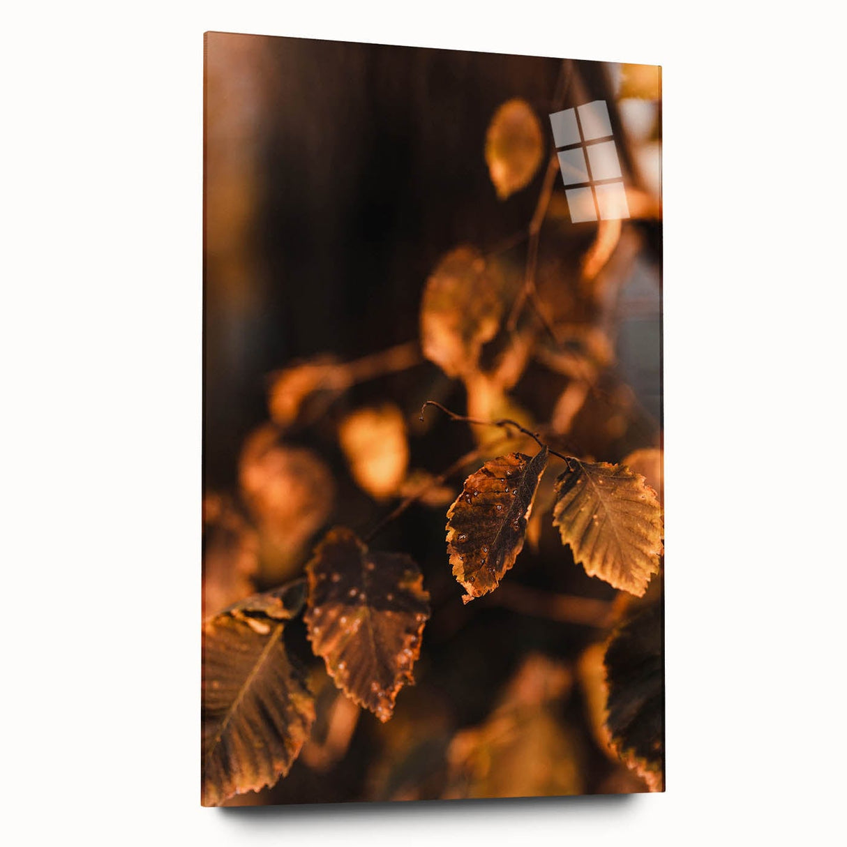 Large abstract wall art featuring swirling autumnal hues on acrylic glass, ideal for bedroom or dining room decor.
