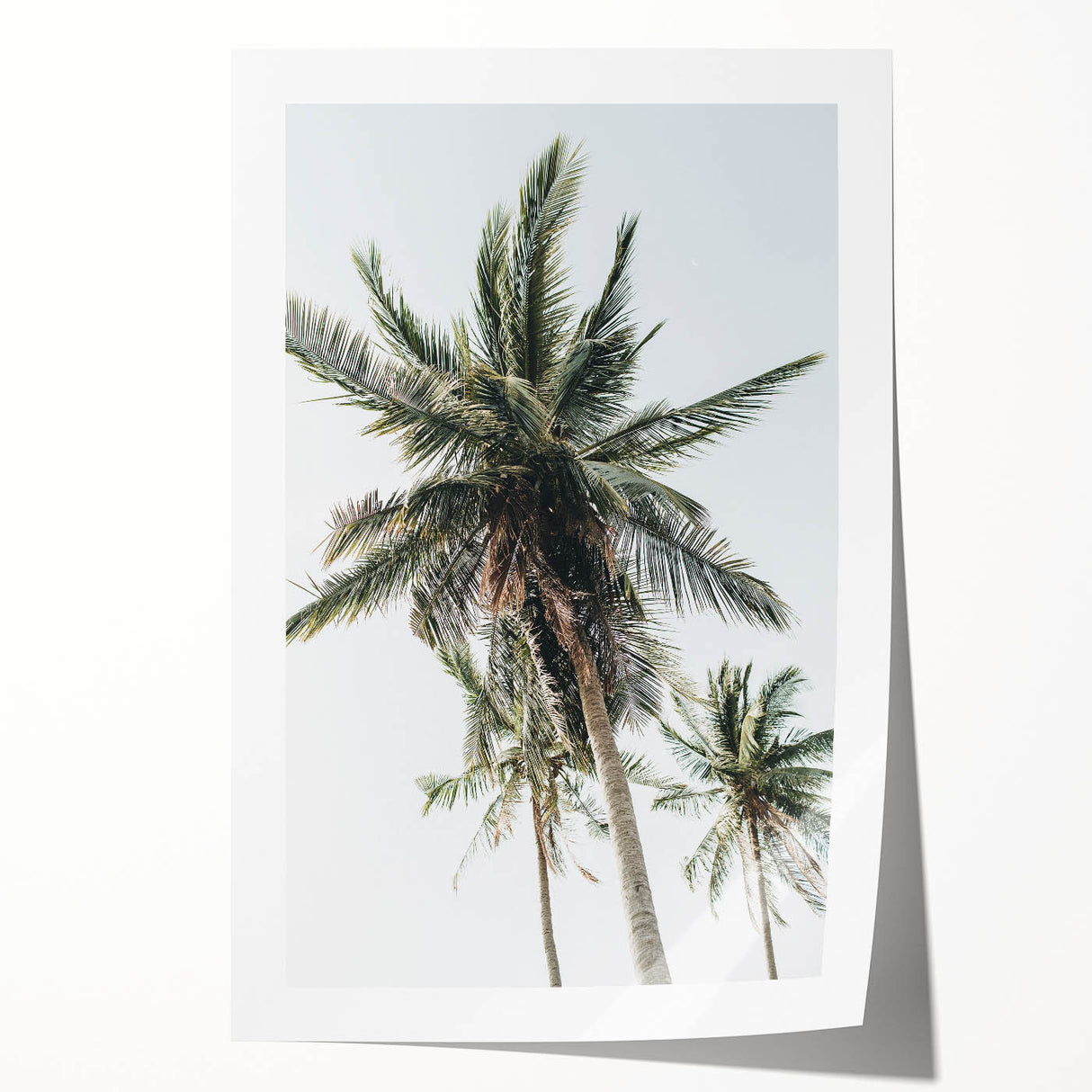 Extra large rolled canvas print featuring a floral design in vibrant colors, ideal for art wall dining room decor.