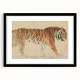 Realistic Tiger Art Print - Thomas Stothard Classical Realism Animal Canvas