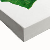 Romanticism Art - Poinsettia Illustration by Lydon & Fawsett Print