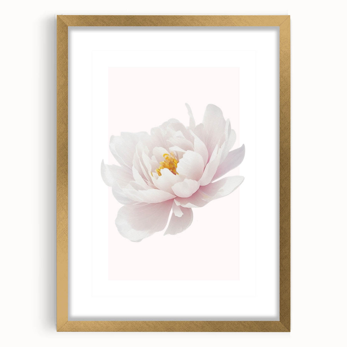 Elegant White Peony Floral Print - Girls Bedroom Wall Art