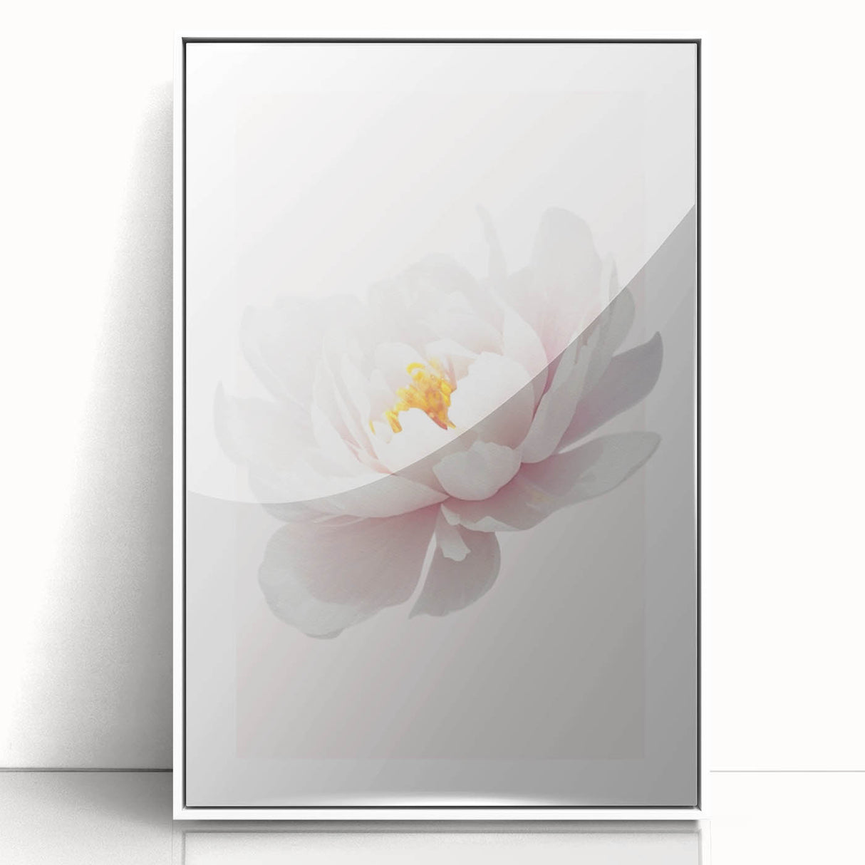 Elegant White Peony Floral Print - Girls Bedroom Wall Art