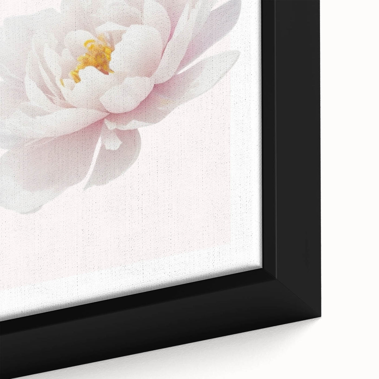 Elegant White Peony Floral Print - Girls Bedroom Wall Art