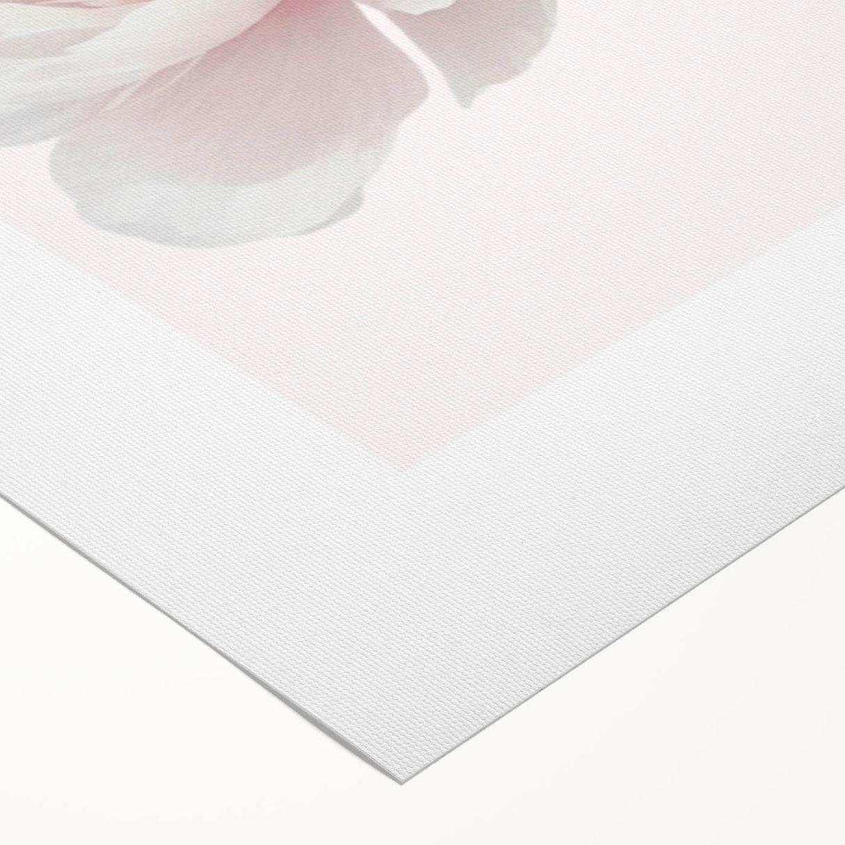 Elegant White Peony Floral Print - Girls Bedroom Wall Art