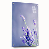 Large abstract wall art depicting spring, in vibrant green and yellow tones, printed on acrylic glass.