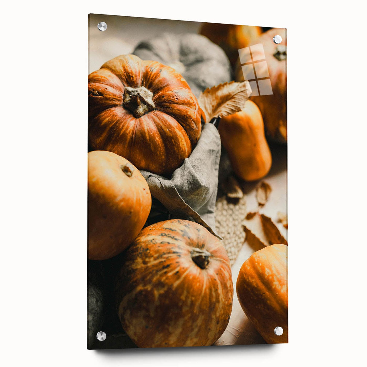 Large abstract wall art depicting autumnal trees in warm orange tones, printed on acrylic glass.