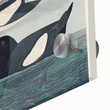 Romanticism Art: "Black Guillemot" by John James Audubon