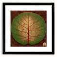 Stylish wall art frame showcasing a vibrant floral design with botanical leaves, set in a sleek black mat, perfect for enhancing home decor aesthetics.