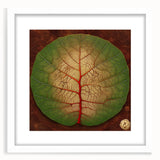 Framed wall art displaying a botanical design with vibrant flowers and green leaves, set against a white mat. Ideal for modern home decor or office spaces.