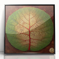 Framed acrylic wall art showcasing an elegant design of flowers and botanical leaves, set against a black background, perfect for modern home decor.