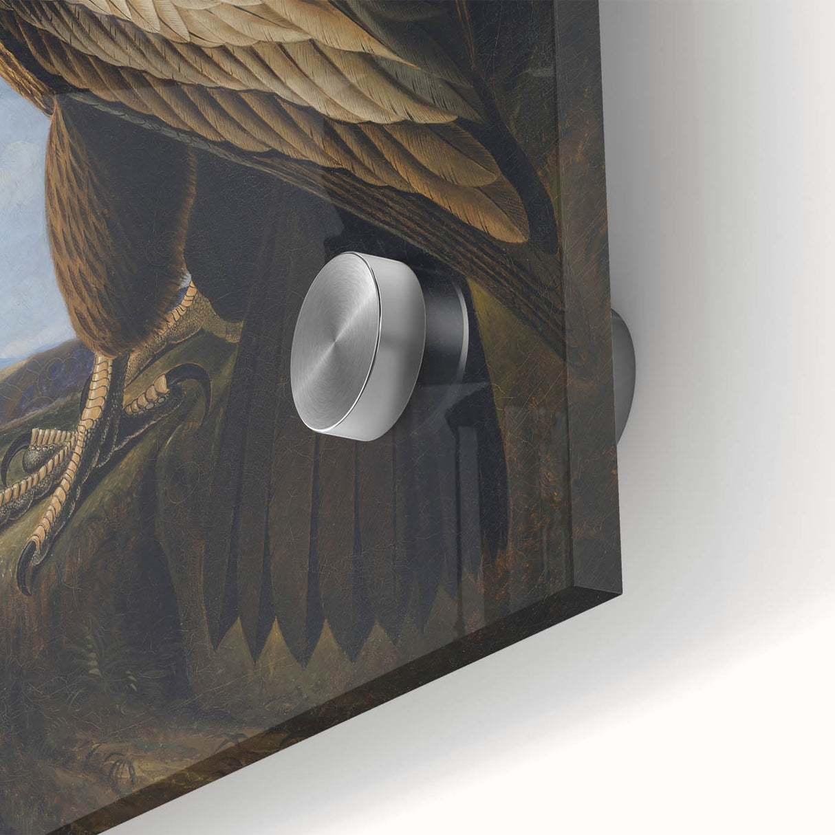 Majestic Realism Art Print – Washington Sea Eagle by Audubon