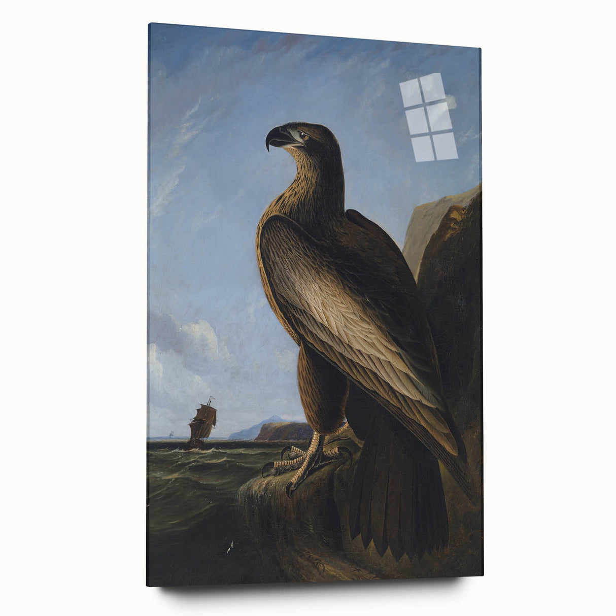 Majestic Realism Art Print – Washington Sea Eagle by Audubon