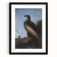 Majestic Realism Art Print – Washington Sea Eagle by Audubon