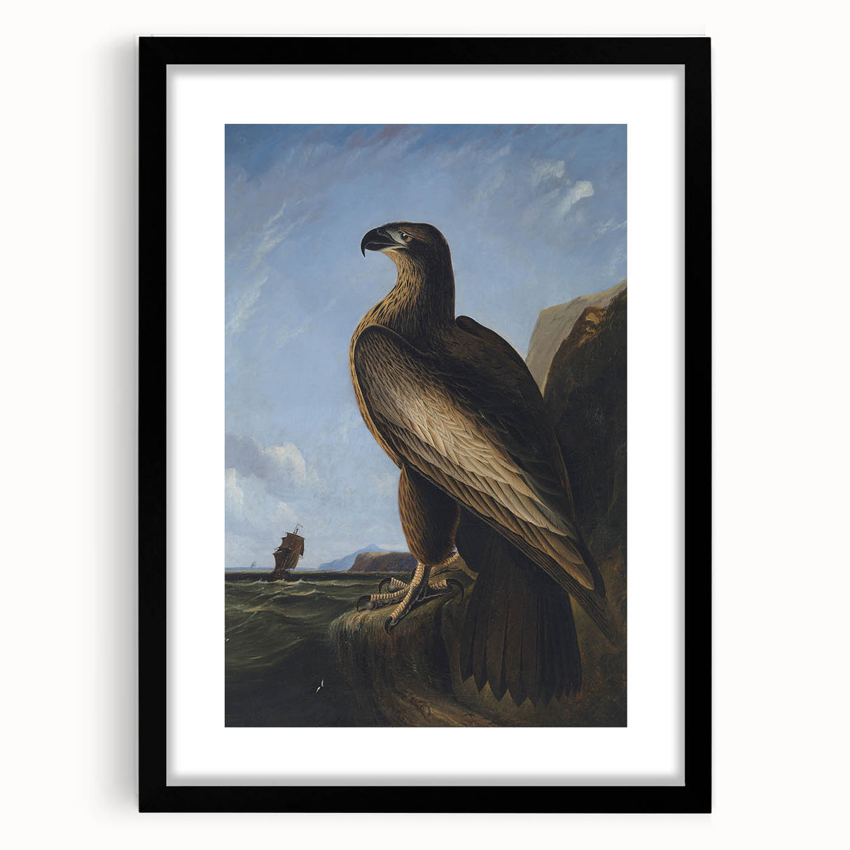 Majestic Realism Art Print – Washington Sea Eagle by Audubon