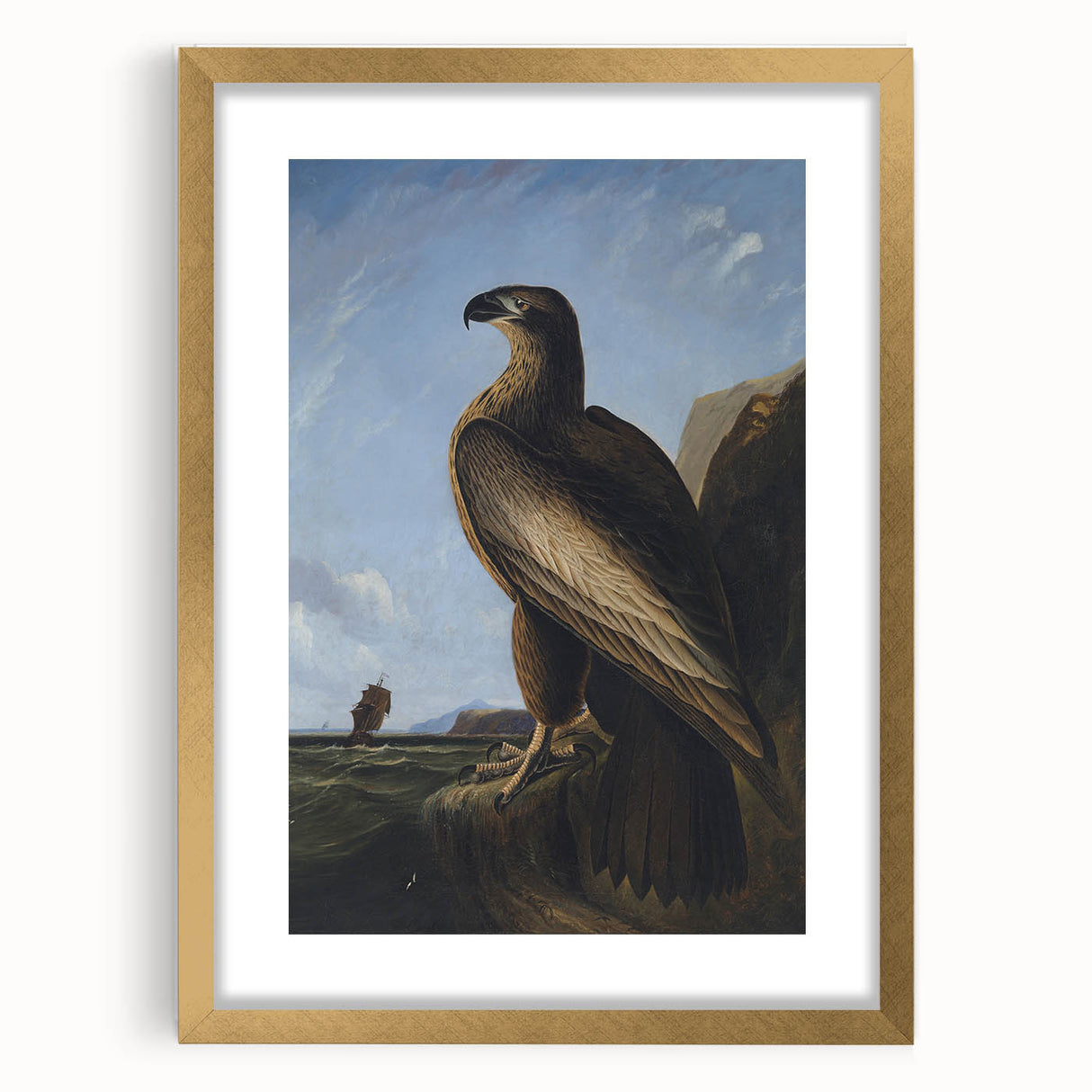Majestic Realism Art Print – Washington Sea Eagle by Audubon