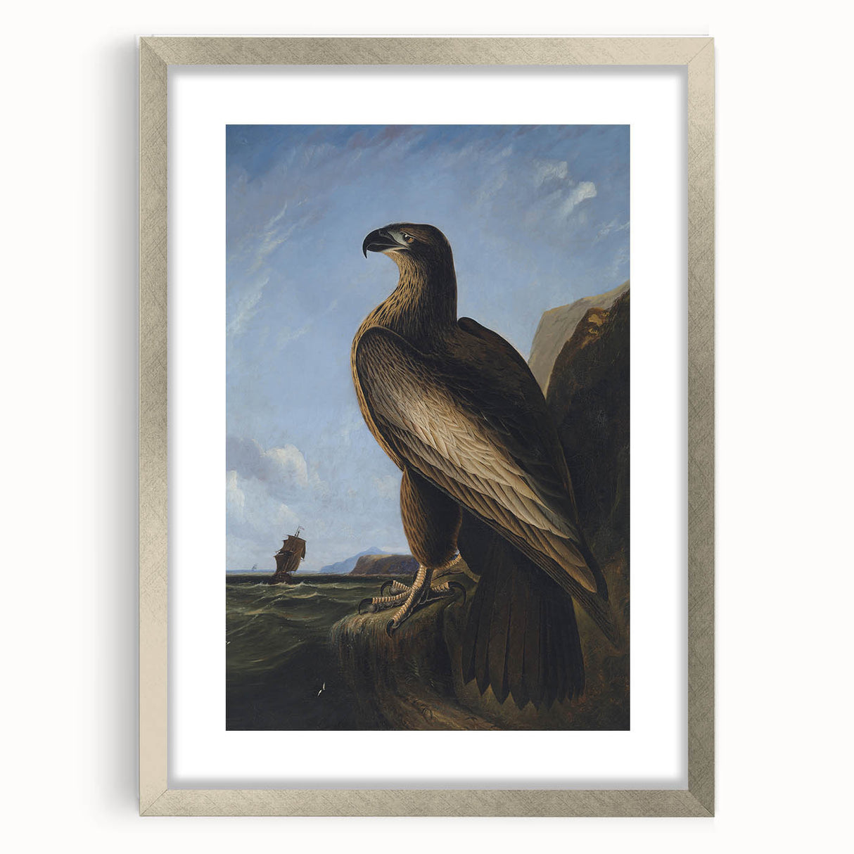 Majestic Realism Art Print – Washington Sea Eagle by Audubon