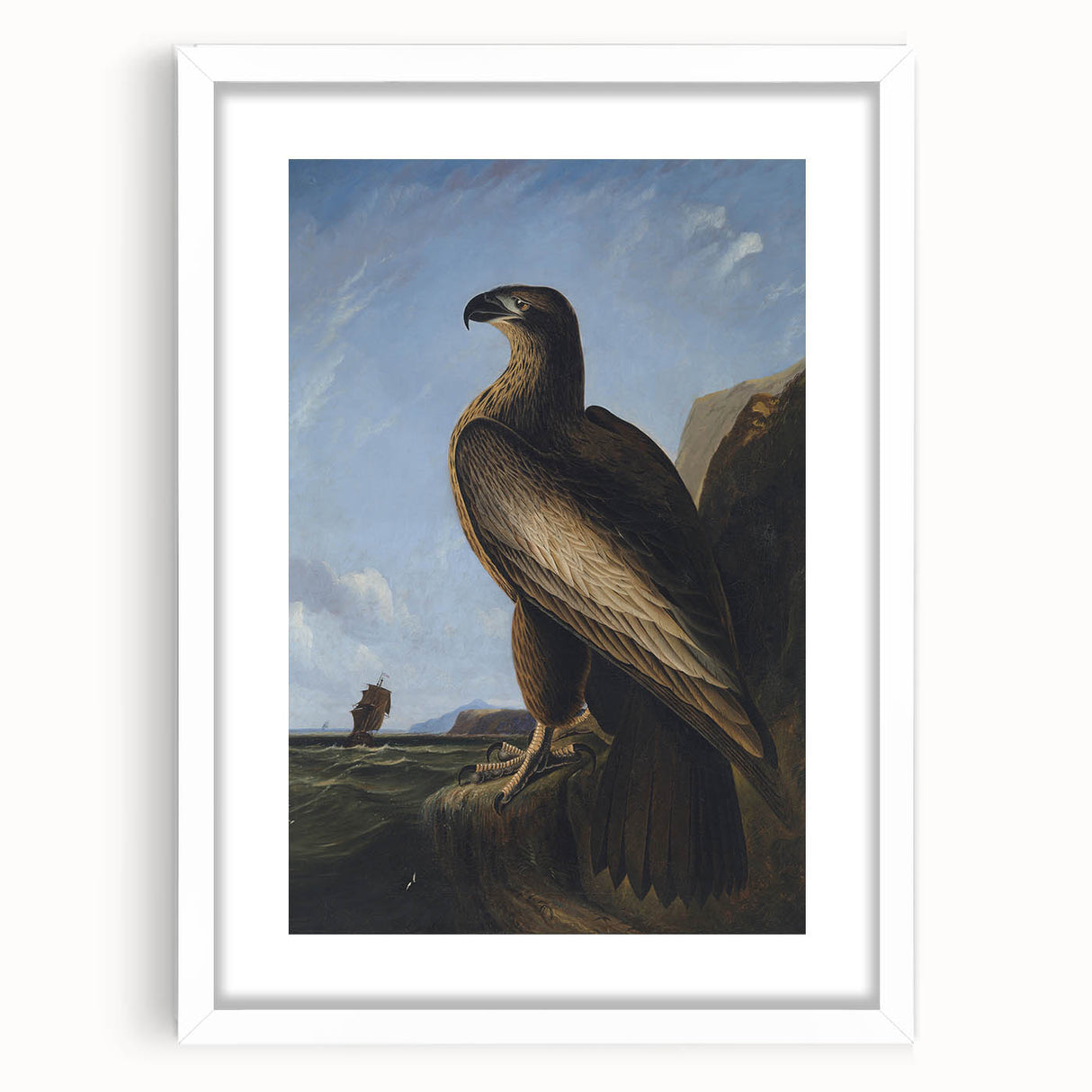 Majestic Realism Art Print – Washington Sea Eagle by Audubon