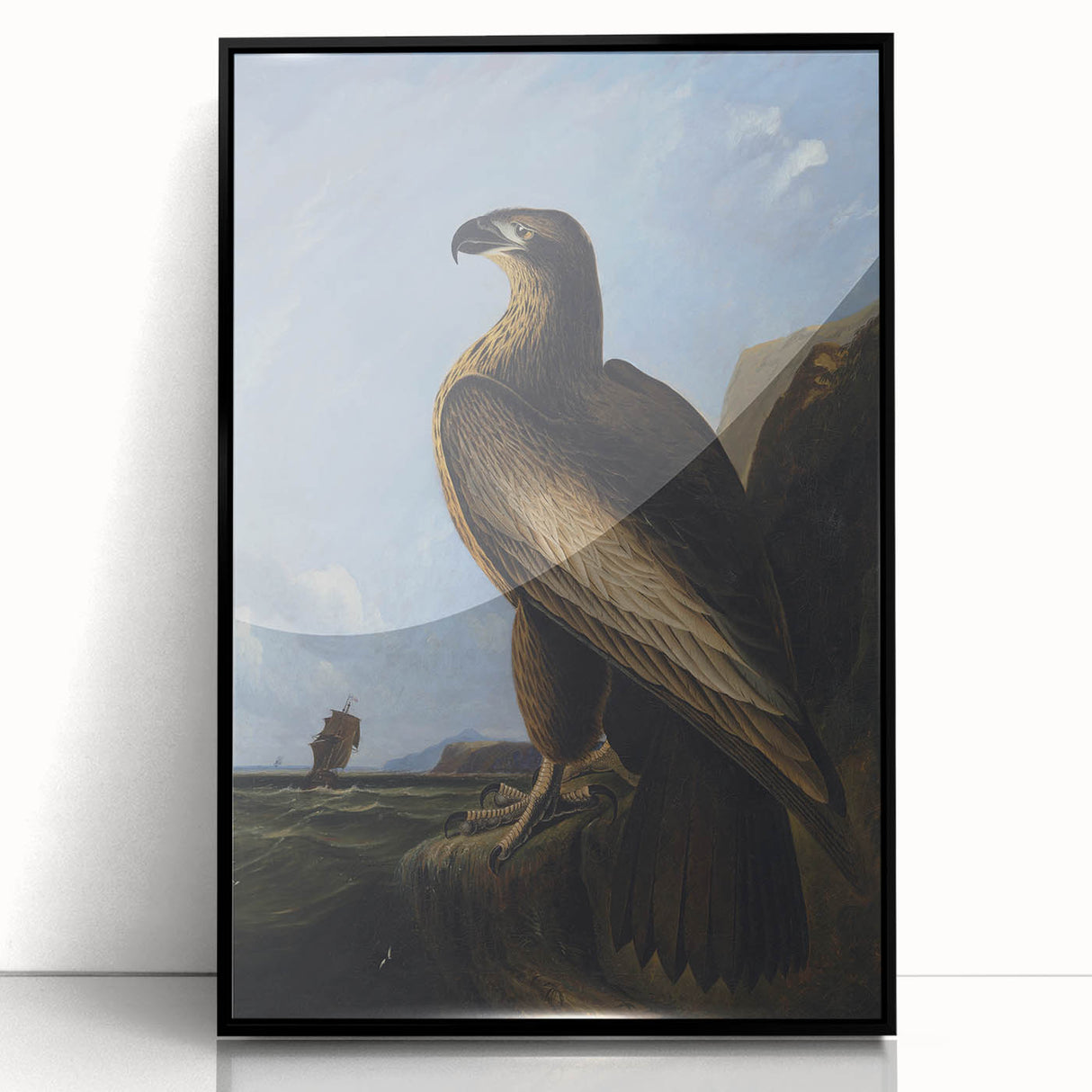 Majestic Realism Art Print – Washington Sea Eagle by Audubon