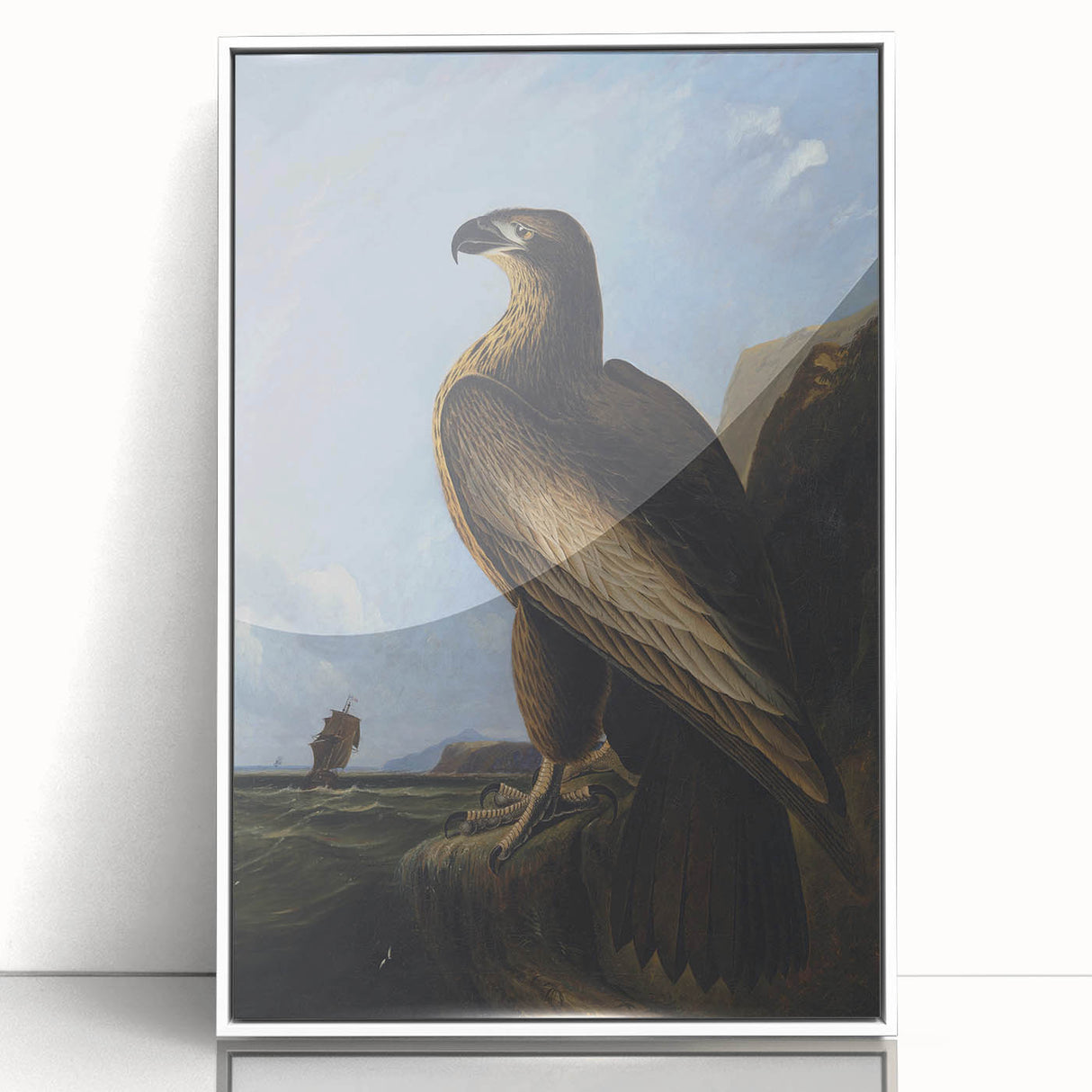 Majestic Realism Art Print – Washington Sea Eagle by Audubon