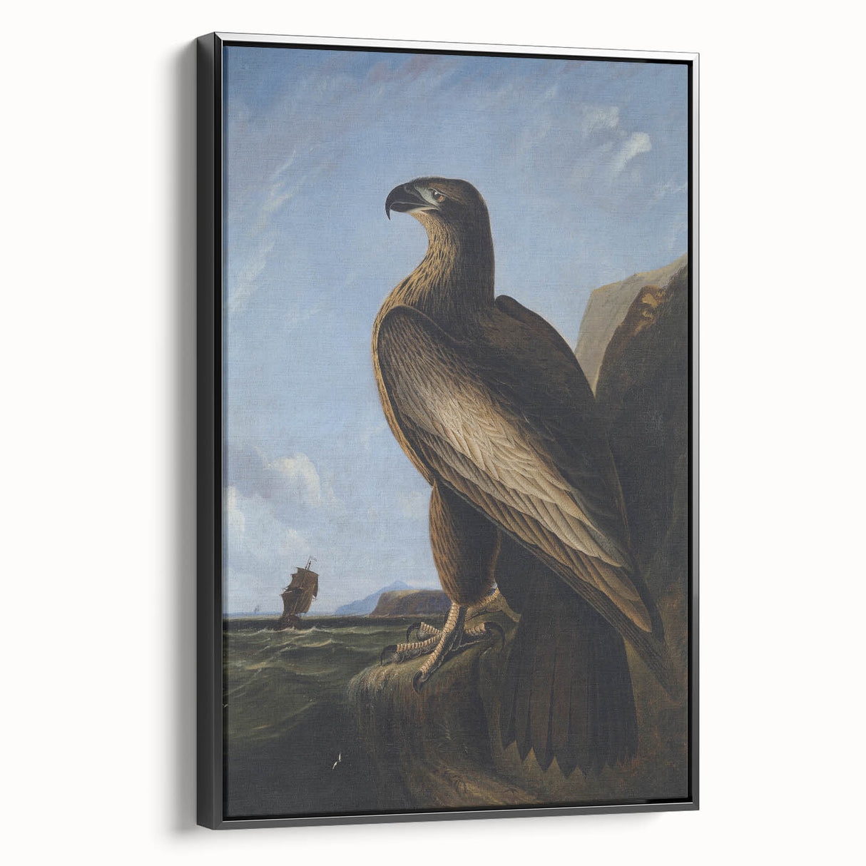Majestic Realism Art Print – Washington Sea Eagle by Audubon