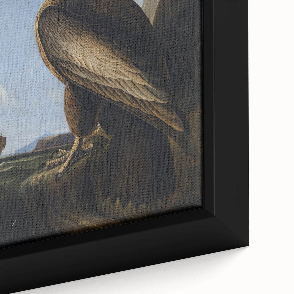 Majestic Realism Art Print – Washington Sea Eagle by Audubon