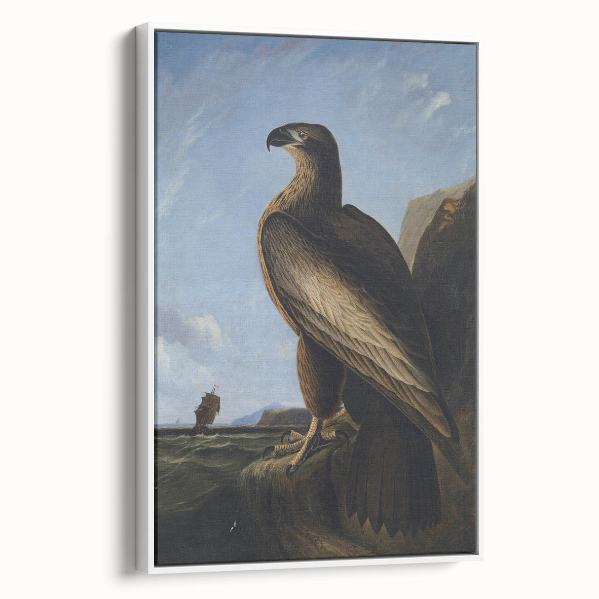 Majestic Realism Art Print – Washington Sea Eagle by Audubon
