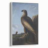 Majestic Realism Art Print – Washington Sea Eagle by Audubon