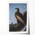 Majestic Realism Art Print – Washington Sea Eagle by Audubon