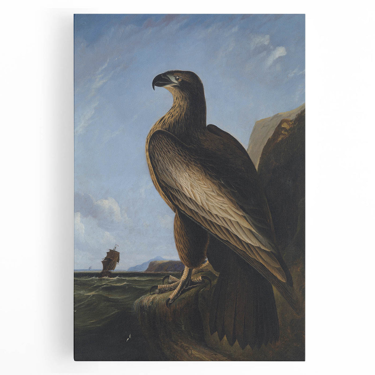 Majestic Realism Art Print – Washington Sea Eagle by Audubon