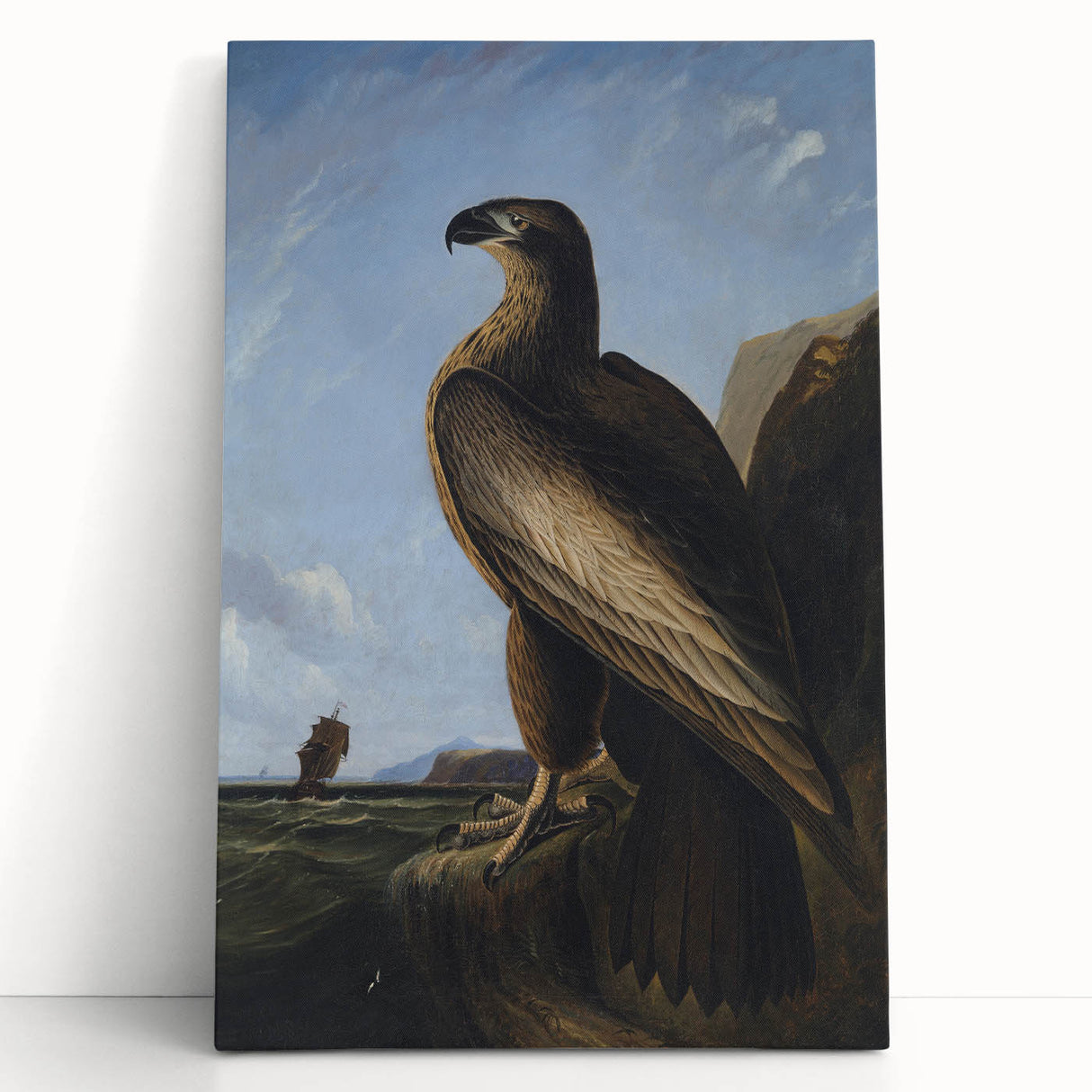 Majestic Realism Art Print – Washington Sea Eagle by Audubon
