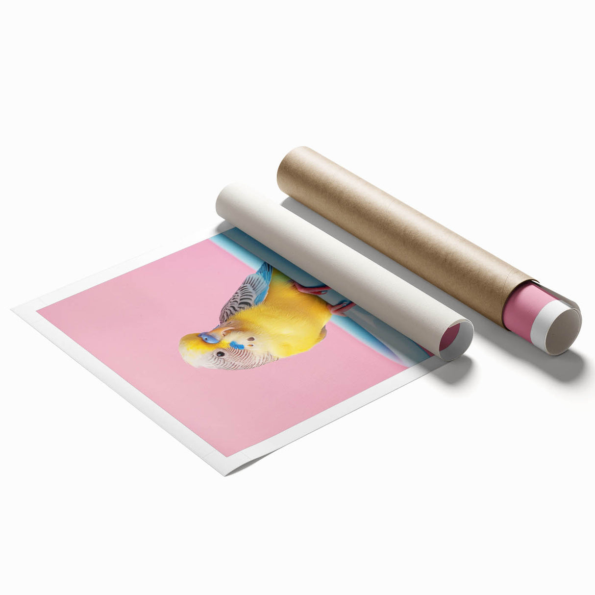 Bathroom Art Prints - Colorful Bird on Blue Tub