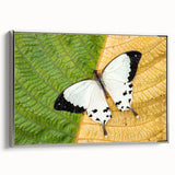Vintage poster art of Madagascar scenery in vibrant colors on extra large framed canvas, suitable for living room decor.