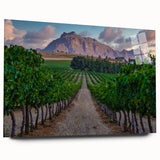 Large abstract wall art depicting the South African scenery in vibrant earth tones on acrylic glass.