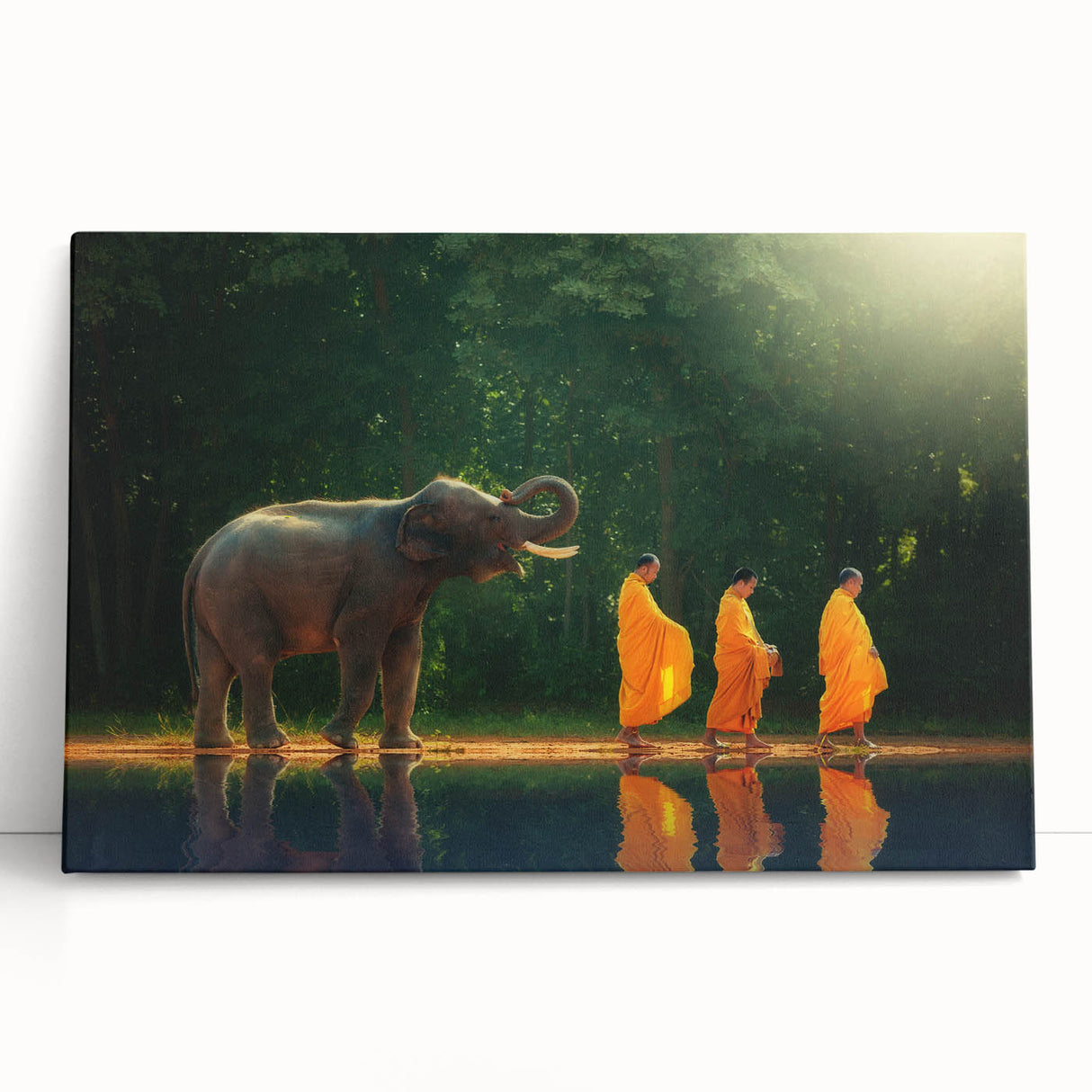 Black and white stretched canvas of a Thai landscape, ideal for kitchen wall art or bedroom ambiance.